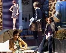 LeopardLooks